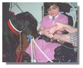 Photo: young girl in wheelchair with service dog retrieving her ventilator hose. - End of Photo Description