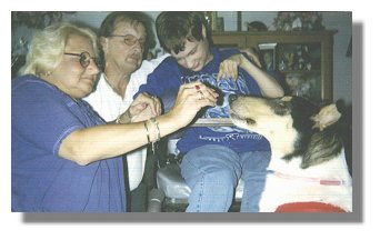 Photo: Chris, her husband Ray and daughter Sarah with Service Dog Chase - End Photo Description