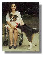 Photo: woman in wheelchair with service dog - End of photo description