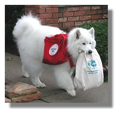 Photo: service dog, Dakato, carrying a grocery bag - End of Photo Description